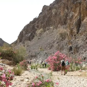 Jordan's nature reserves